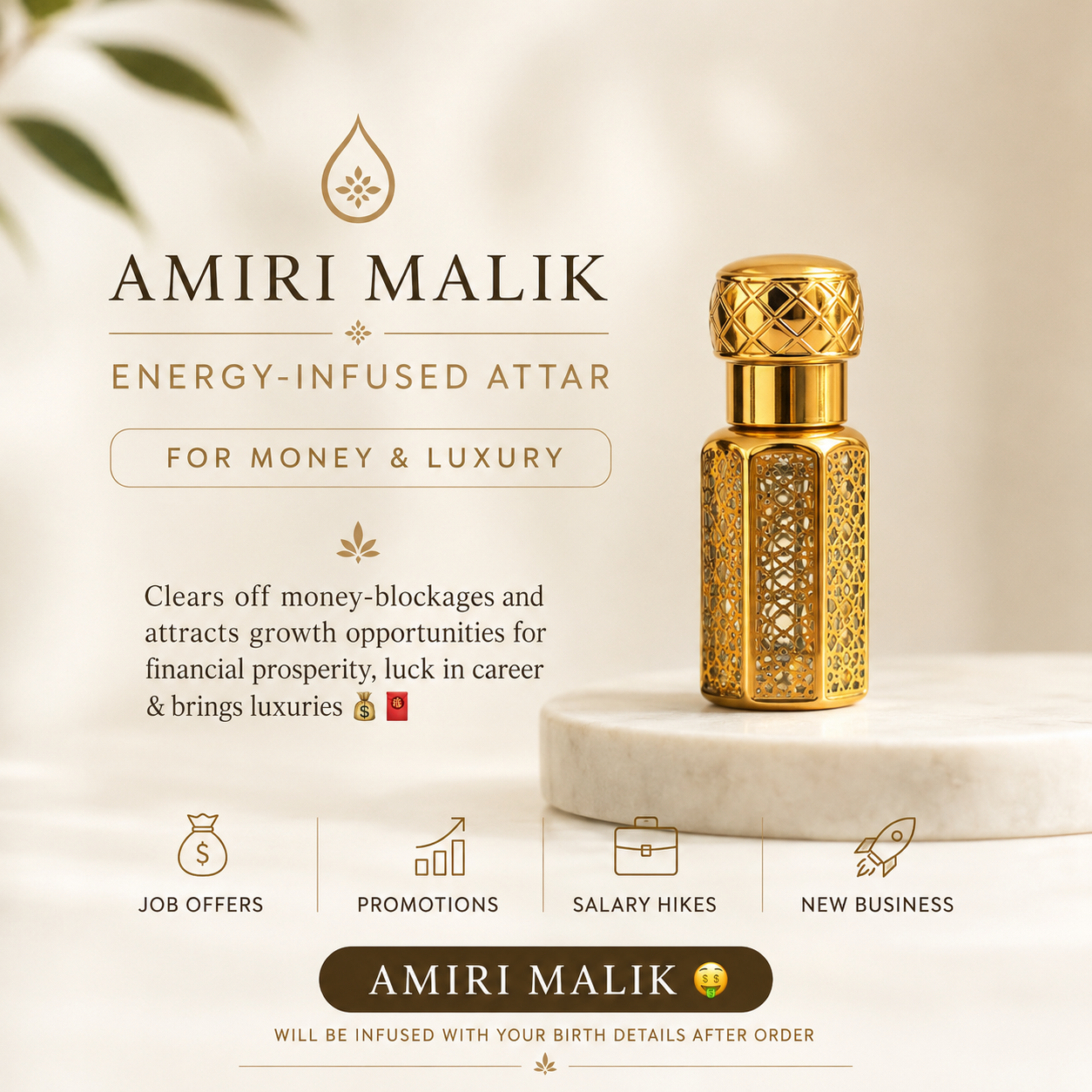 Amiri Malik | Job & Career 💰 | Attar